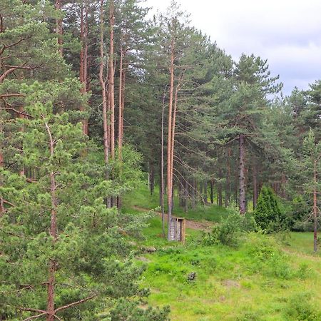 Zlatibor Holiday, Vila Leonardo VI Exteriér fotografie