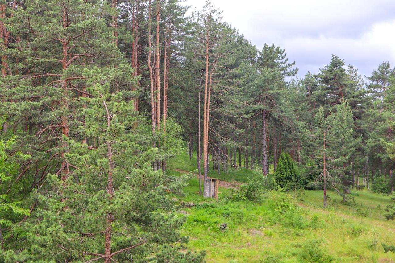 Apartmán Zlatibor Holiday, Vila Leonardo VI Exteriér fotografie