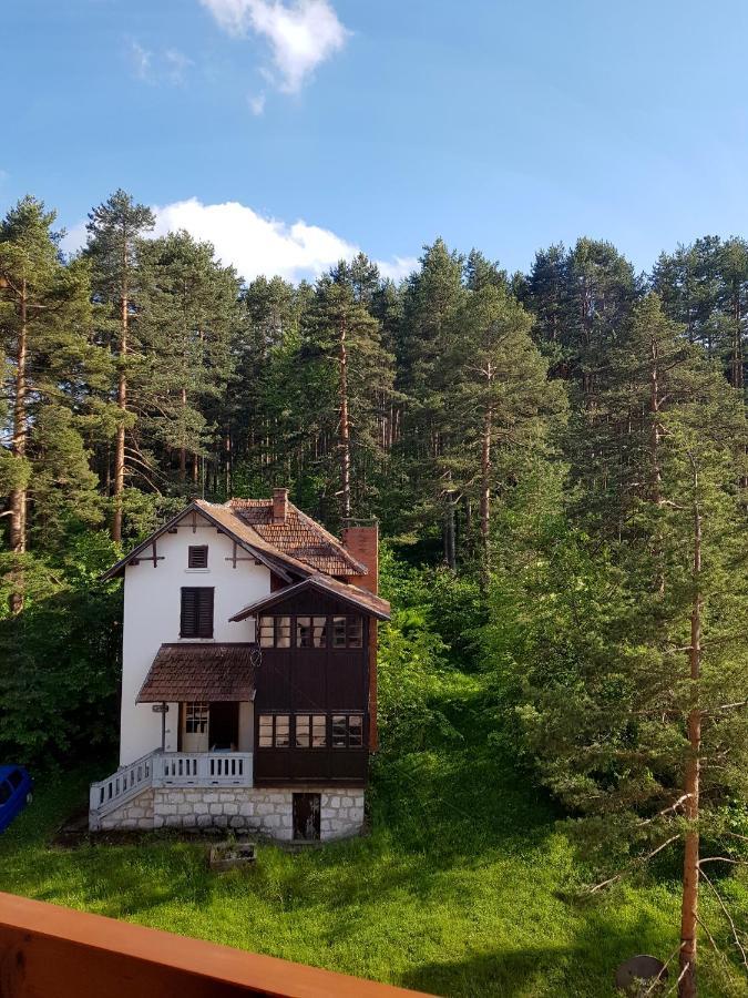 Apartmán Zlatibor Holiday, Vila Leonardo VI Exteriér fotografie