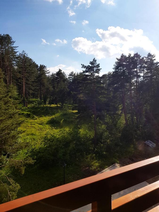 Apartmán Zlatibor Holiday, Vila Leonardo VI Exteriér fotografie