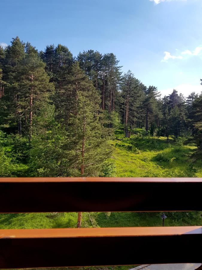 Apartmán Zlatibor Holiday, Vila Leonardo VI Exteriér fotografie